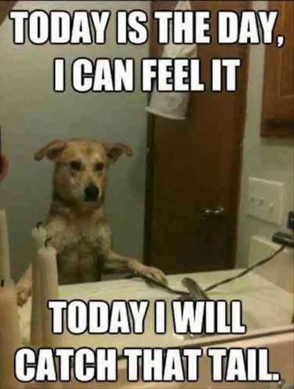 life coach